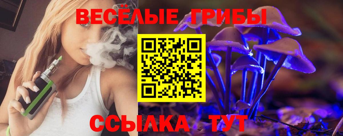 Жуковский  Галлюциногенные грибы мухоморы  наркошоп  Вход с VPN 